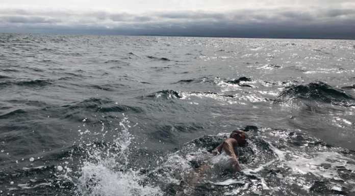 Dopo 8 ore a nuoto sulla Manica, Oriana si arrende: “Grazie a tutti”