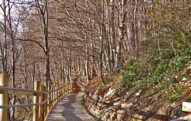 Carenno. Monsignor Delpini al Pertus per l’intitolazione del “sentiero per tutti”