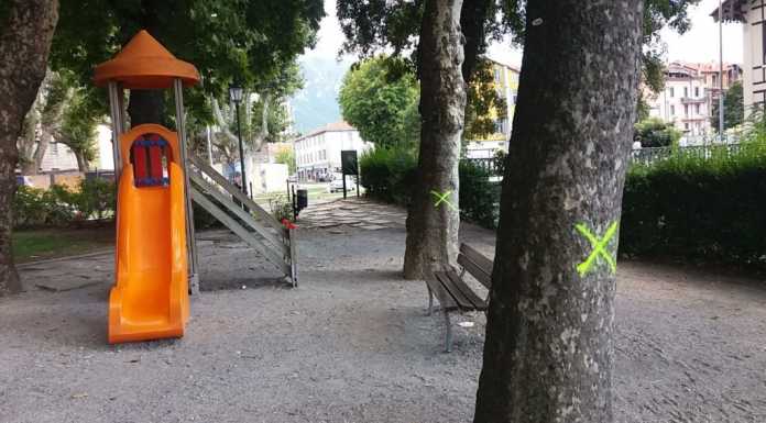 Sette alberi “pericolosi” sul lungolago di Lecco, saranno abbattuti
