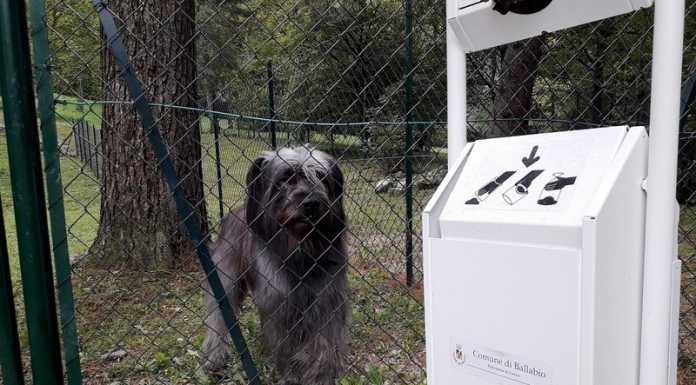 A Ballabio inaugurata la nuova area cani. “Opera richiesta dai cittadini”