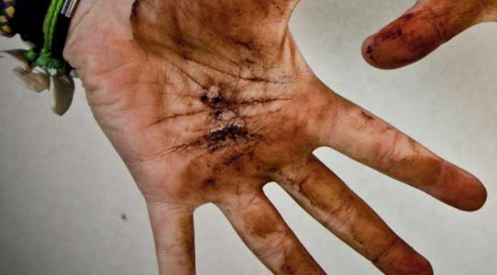 Lecco. Al via il campo di volontariato estivo “AGGRATIS, mi sporco le mani per te!”