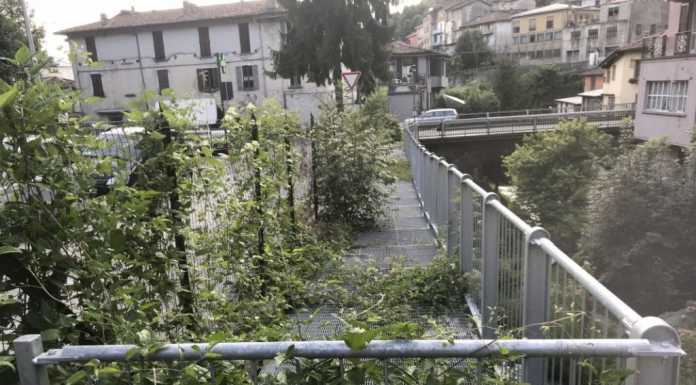 Ve la ricordate la passerella di Malavedo? Abbandonata è diventata un “percorso botanico”