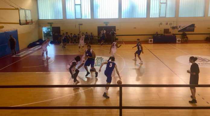 Basket SerieB. Gimar, 1° vittoria nel precampionato per coach Paternoster