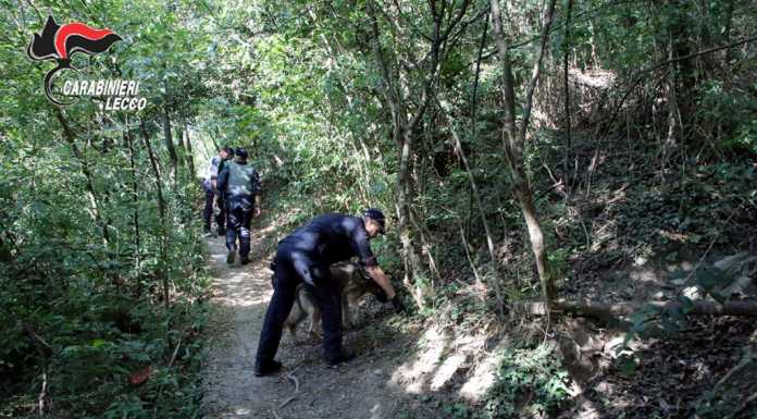 Prefettura. Definite le misure per intensificare il contrasto allo spaccio di droga