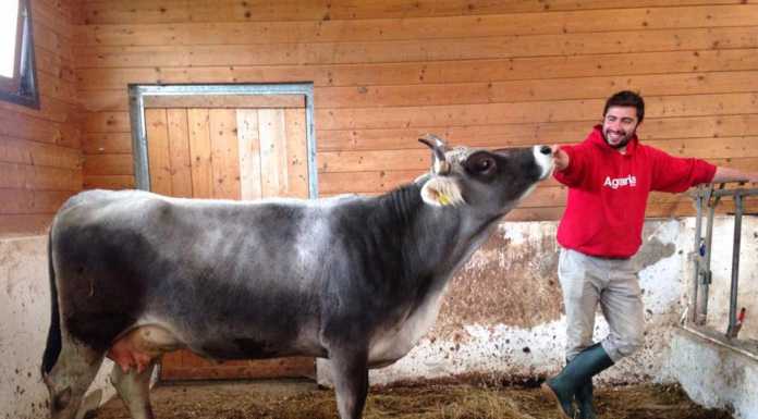 I caseifici aprono le porte, appuntamento a Morterone