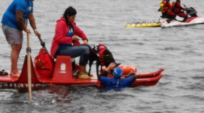 Lorenzo, giovane diabetico, attraversa il Lario con il suo cane Red