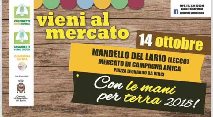 Mandello: al mercato con i bimbi, mettiamo le primule nei vasi