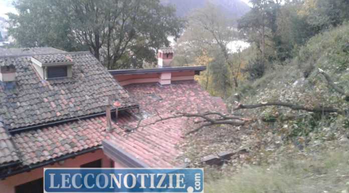 Rancio. Albero cade e finisce sul tetto di una casa