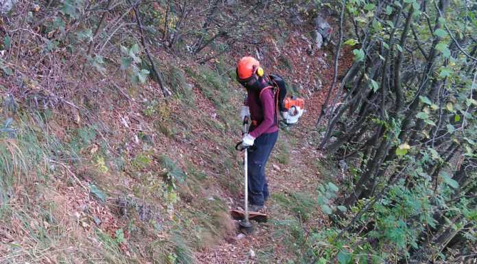 Beck e Cai Lecco al lavoro per ripulire il sentiero del Regismondo