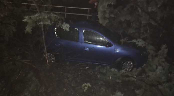 Pescate. Alberi sulla strada, colpita un’auto: “Gran lavoro della Protezione civile”