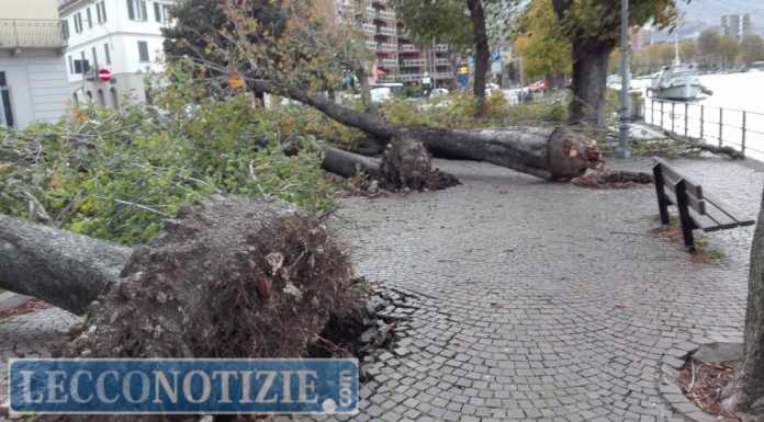 Maltempo, Venturini: “Emergenza gestita in modo improvvisato”