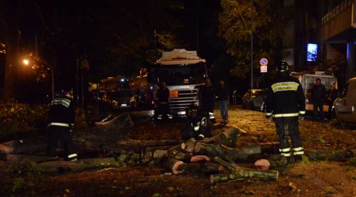 Albero piomba sul lungolago di Lecco, danni anche a Pescarenico