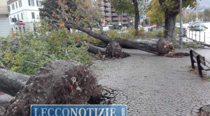 Nubifragio, il giorno dopo. Oltre 150 interventi per i pompieri