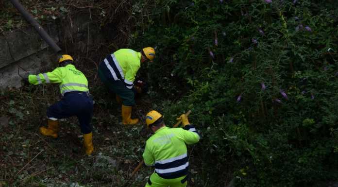 I volontari della Protezione Civile al lavoro per pulire il torrente Gallavesa