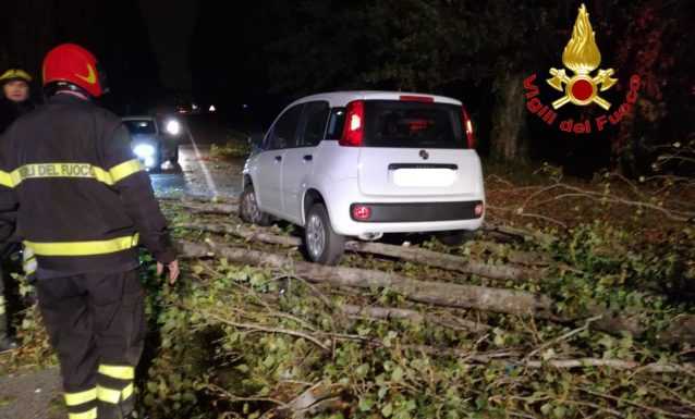 Tromba d’aria a Milano, diverse chiamate ai Vigili del Fuoco