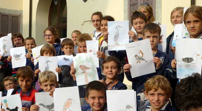 Il magico mondo delle api. L’iniziativa del WWF per i bimbi