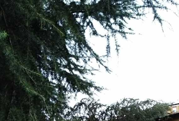 Lettera. “Grazie a quanti hanno lavorato per la nostra sicurezza”