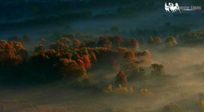 Le prime nebbie: alcuni scatti suggestivi del fotografo Fausto Ligas