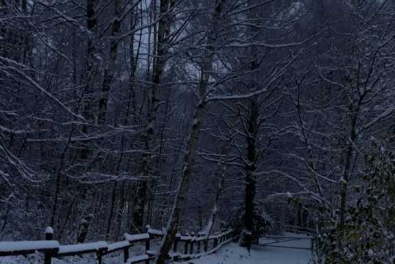 Neve sulle montagne, ecco qualche “cartolina” dai Resinelli