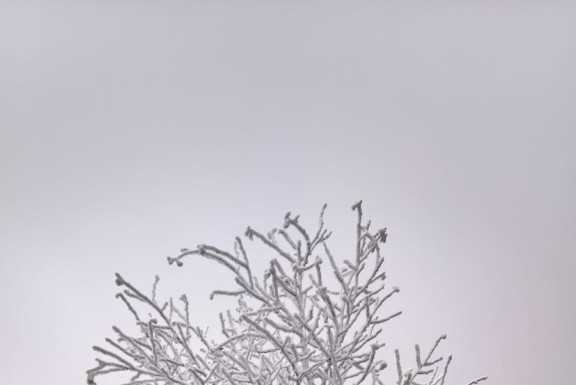 Meteo, anticipo d’inverno sul lecchese. Lunedì fiocchi a quote più basse