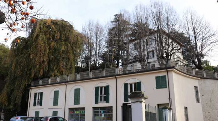 Danni strutturali e funghi. Verrà abbattuto il faggio secolare di Calolzio