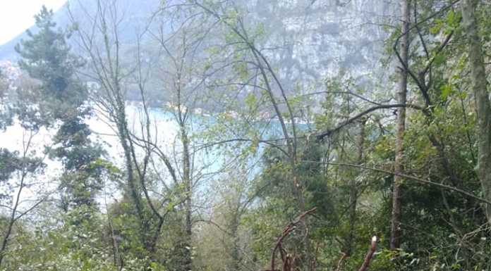 Alberi caduti, impraticabile il sentiero dei Pizzetti al San Martino