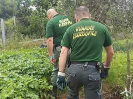 Parco Valle del Lambro, aperte le preiscrizioni per il corso GEV
