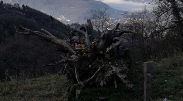 Una radice che guarda su Lecco, il suggestivo presepe del Cai Strada Storta