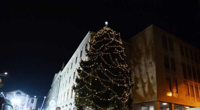 Lecco. Il grande albero di Natale accende anche la solidarietà