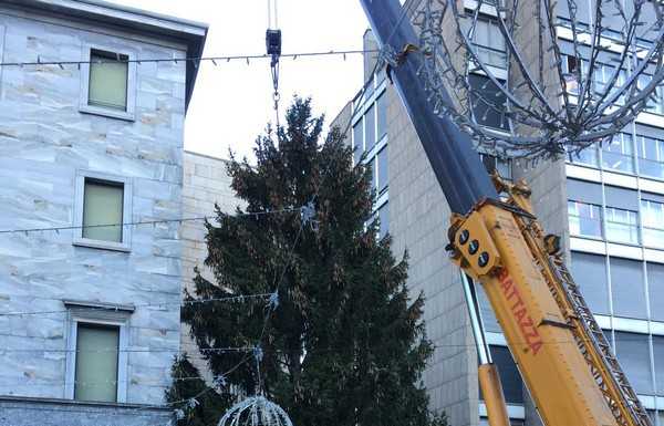 Lecco. In piazza arriva l’albero di Natale, si accenderà giovedì