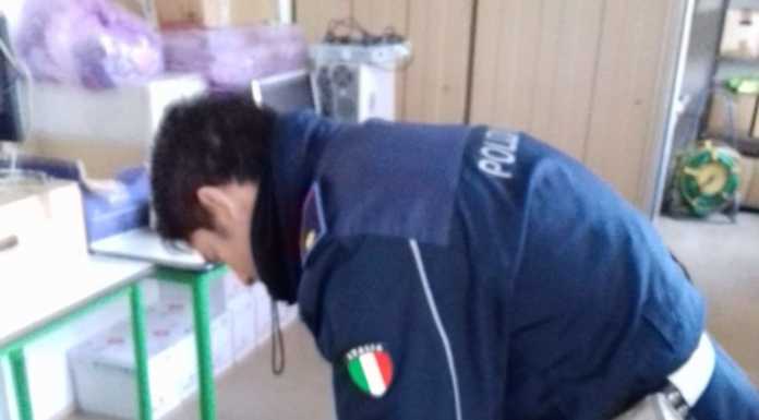 Nibionno. Cucciolo di cane ritrovato nelle sterpaglie dalla Locale