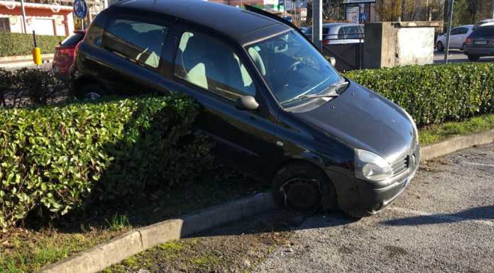 Incidente a Cesana Brianza: finisce fuori strada e sfonda una siepe
