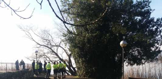 Dramma a Pusiano, donna trovata senza vita sul lungolago