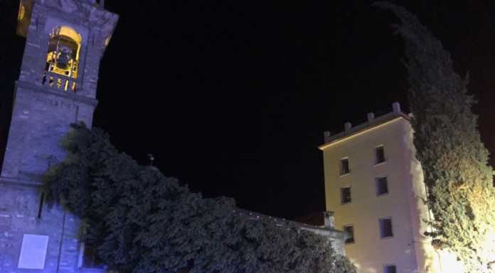 Cade un cipresso, tragedia sfiorata a Bellano in occasione della Pesa Vegia
