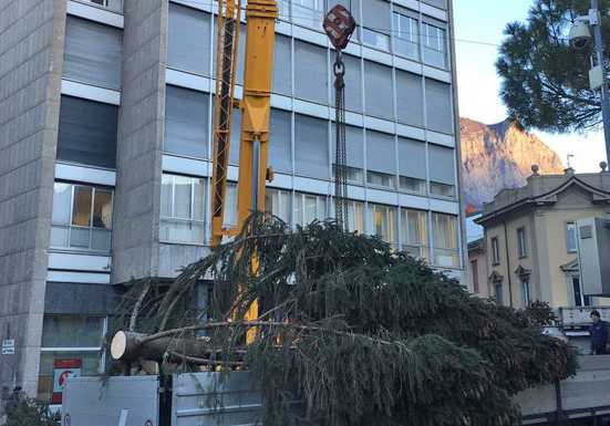 Concluse le feste natalizie, anche il grande albero lascia la piazza