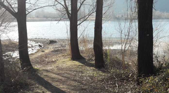 Incendio nel canneto, provvidenziale intervento di un consigliere di Carenno