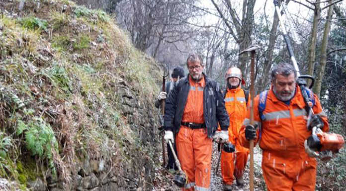 Volontari al lavoro sul Monte di Brianza
