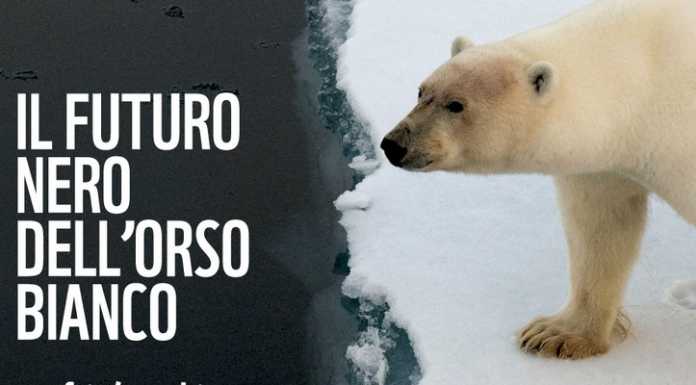 Il WWF Lecco contribuisce alla tutela dell’orso polare