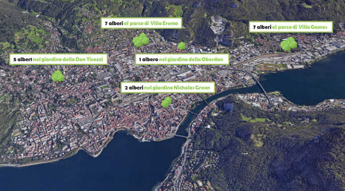 Ventidue nuovi alberi a Lecco, uno per ogni scuola