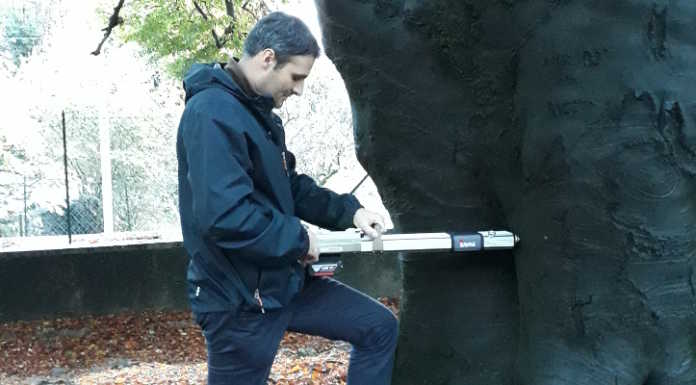 Faggio di Villa Guagnellini, l’agronomo fa chiarezza: “Impossibile salvarlo”