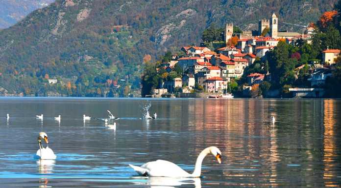 Tra Dervio e Corenno bus navetta gratuito in agosto: spostarsi sarà più semplice Corenno Plinio