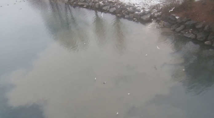 Acqua marrone nel lago, De Capitani chiede chiarimenti sul depuratore di Lecco