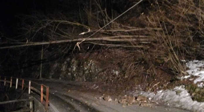 Alberi caduti sulla Taceno-Portone (Bellano), riaperta la strada