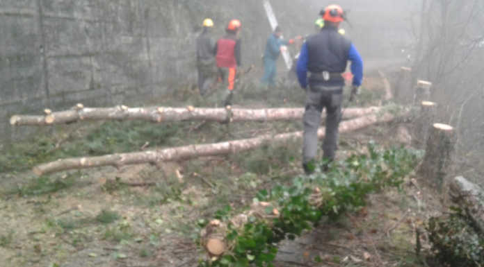 Antincendio boschivo Alpini Monte Medale al lavoro sulla pista tagliafuoco gruppo antincendio alpini monte medale