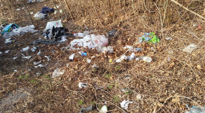 Bosisio. Rifiuti sulle rampe vicino alla SS36, Comune e volontari ripuliscono