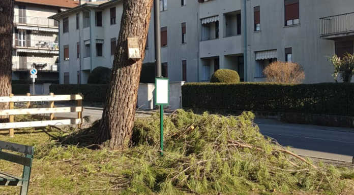 A Calolzio scoppia la polemica sulla gestione del verde pubblico… e non solo