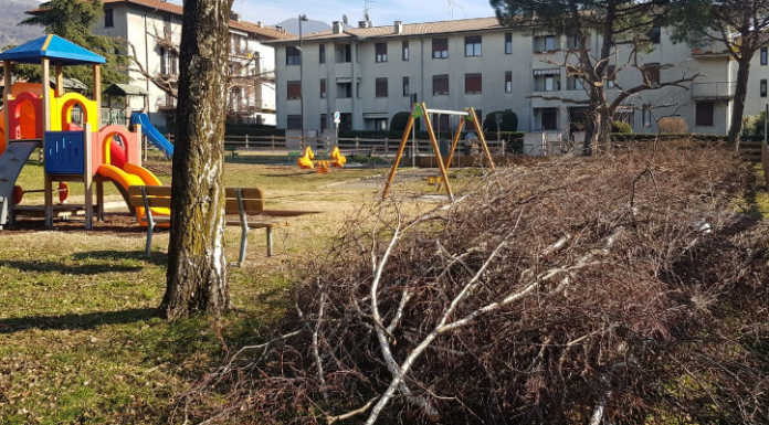 Calolzio. La denuncia dell’ex assessore Mazzoleni: “Il verde è sempre meno verde”