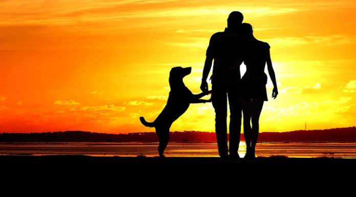 Animale e padrone nella stessa tomba: da oggi è possibile