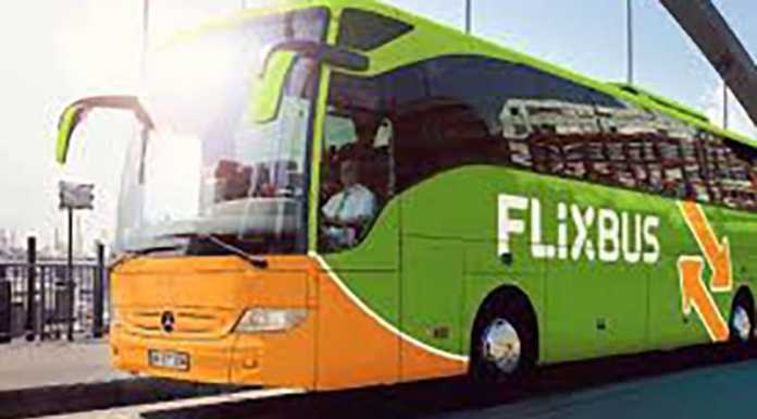 Droga sul Flixbus, nel vano bagagli rinvenuto un panetto di cocaina