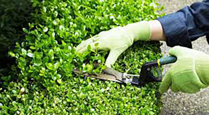 Dolzago. Pulizia del verde e nuovi cartelli di Protezione Civile